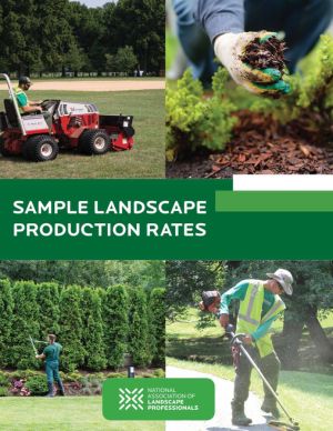 SLDP-Cover.jpg