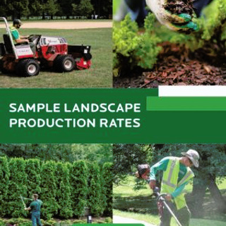SLDP-Cover.jpg