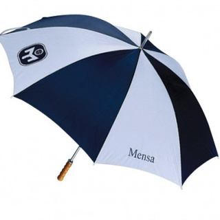brolly.jpeg
